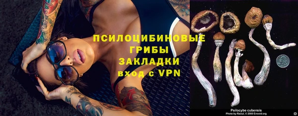 mdpv Армянск