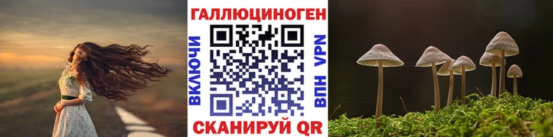 кракен рабочий сайт Бугульма Псилоцибиновые грибы ЛСД наркошоп